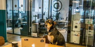 Jak sprawdzić, gdzie znajduje się nadana przez nas przesyłka?