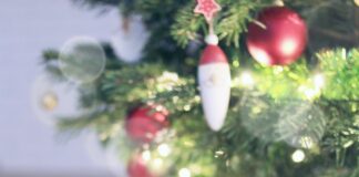 Jakie ubranko na zimę dla pieska