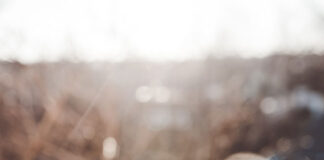 Czarny napój prosto ze źródła