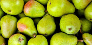 Rynek hurtowy Elizówka