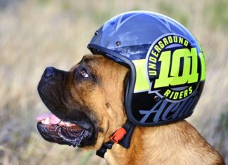 Co na głowę pod kask rowerowy?