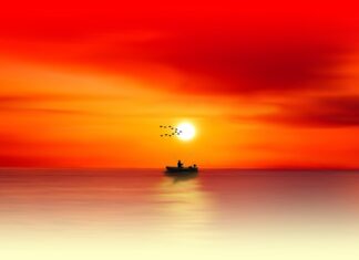 Czy wędkarze mają obowiązek prowadzenia rejestracji połowów?