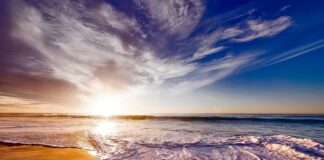 Z czym się je pianki z ogniska?