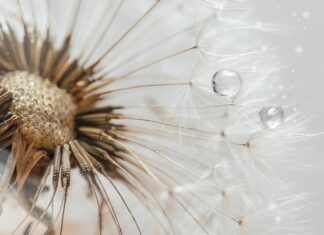 Co to jest drop w bucie biegowym? Co to jest drop w bucie biegowym?