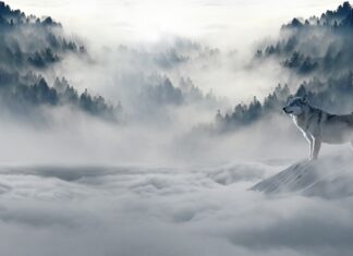 Jakie nakrycie głowy na zimę?