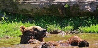 Jak się odświeżyć bez prysznica?