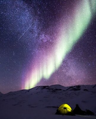 Jakiej firmy namiot forum?