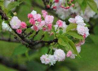 Jaka jest żywotność smartwatcha? Jaka jest żywotność smartwatcha?