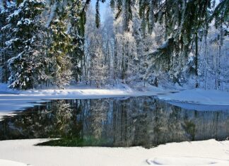 Jaka czapka na mrozy? Jaka czapka na mrozy?