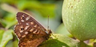 Co to jest antena GPS?