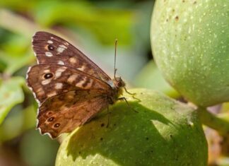 Co to jest antena GPS? Co to jest antena GPS?