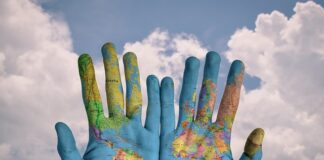 Czy mapy.cz są darmowe?