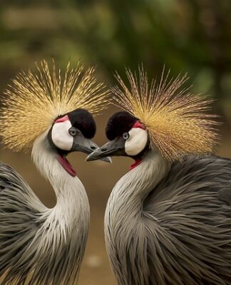 Jak dobrać nakrycie głowy?