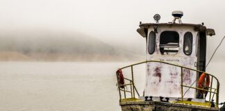 Czym różni się jaz od klenia?