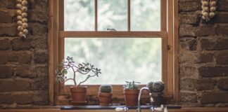 Czy czosnek wabi ryby?