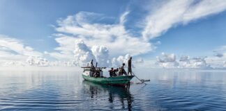 Jaka mączka rybna najlepsza?