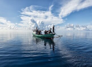 Jaka mączka rybna najlepsza?