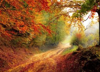 Na czym spać w lesie?