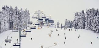 Jak bezpiecznie upadać na snowboardzie?