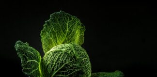 Jak zrobić kociołek z kapustą?