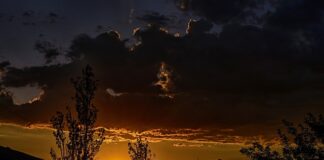 Co można zrobić coś łatwego do jedzenia?