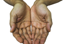 Jak często powinny być odbierane odpady?