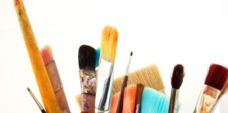 Czy można czesać psa na mokro?