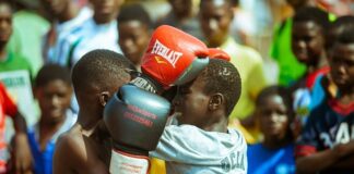 Jak zapakować kota do transportera?