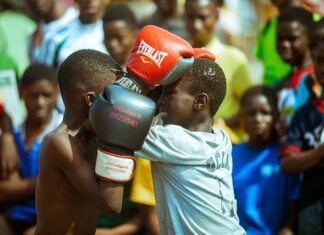 Jak zapakować kota do transportera?