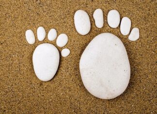 Co oznaczają odgłosy królika? Co oznaczają odgłosy królika?