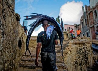 W jakim wieku pies może chodzić po schodach? W jakim wieku pies może chodzić po schodach?