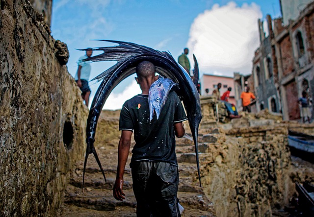 W jakim wieku pies może chodzić po schodach? W jakim wieku pies może chodzić po schodach?