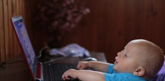 Jaka rasa psa nie uczula?