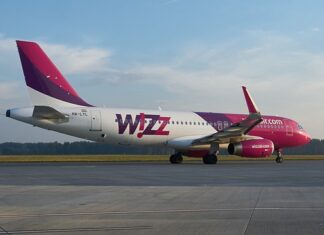 Czy Wizzair przewozi zwierzęta? Czy Wizzair przewozi zwierzęta?