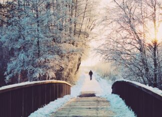 Kiedy są dni płodne u suki?
