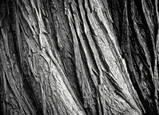 Czym pomalować szybę na czarno?