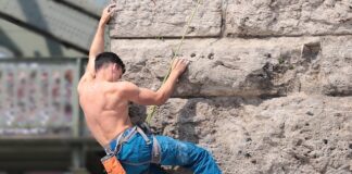 Z czego ścianka do terrarium?