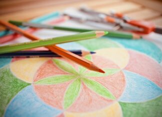 Jak długo pies krwawi podczas cieczki?