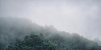 Jak zrobić gęstą czekoladę na gorąco?