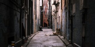 Co zrobić gdy ktoś podrzuca śmieci?