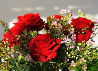 Jak nazywa się najdroższy grzyb świata?