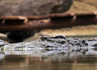 Jakie są zasady gospodarowania odpadami?