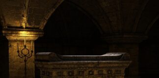 Co ile zmieniać trociny królikowi?