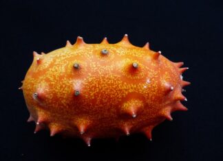 Czy ogórek jest warzywem? Czy ogórek jest warzywem?