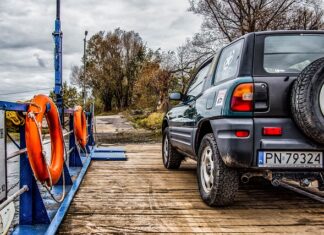 Czy można przewozić dwa koty w jednym transporterze?