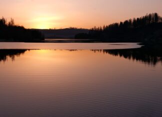 Co można przywieźć ze Śląska?