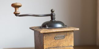 Co zrobić z psem który wszystko niszczy?