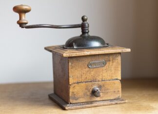 Co zrobić z psem który wszystko niszczy?