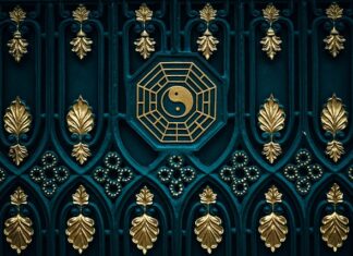 Jakiej karmy dla kota nie kupować?