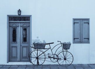 Jak prawidłowo przycinać maliny?